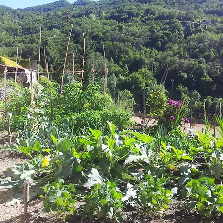 Casa Dei Nonni شقة Garessio